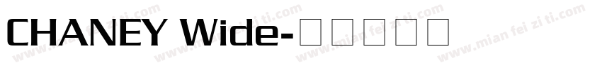 CHANEY Wide字体转换